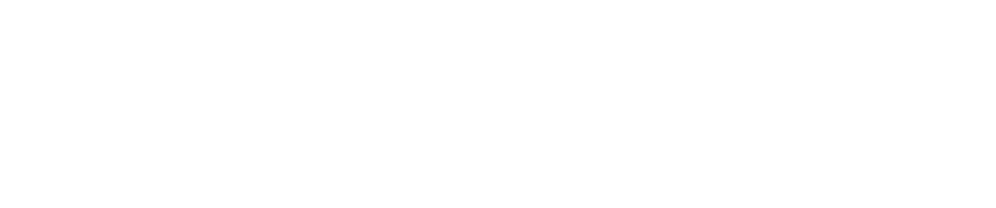 Braintrust Group Primary logo, White