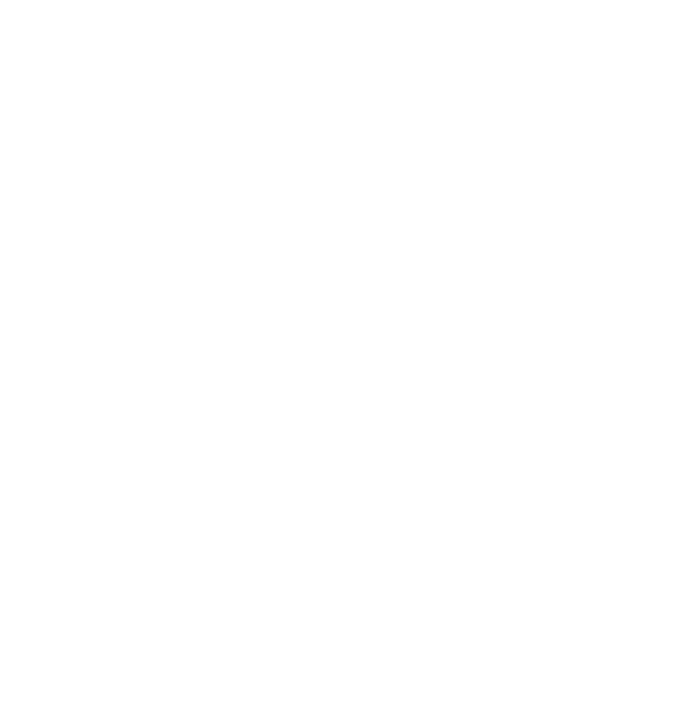 Braintrust Group Secondary logo, White